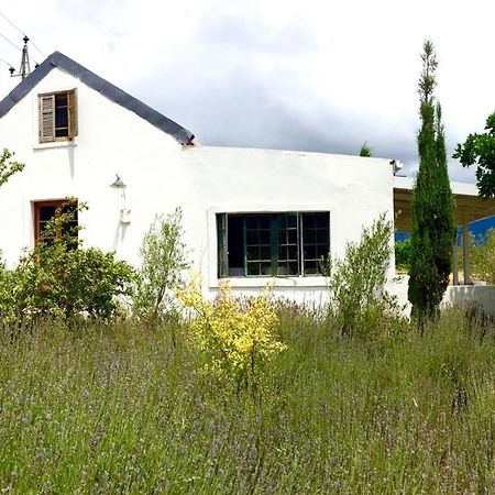 Designer Farm Cottage On Farm Franschhoek Zewnętrze zdjęcie